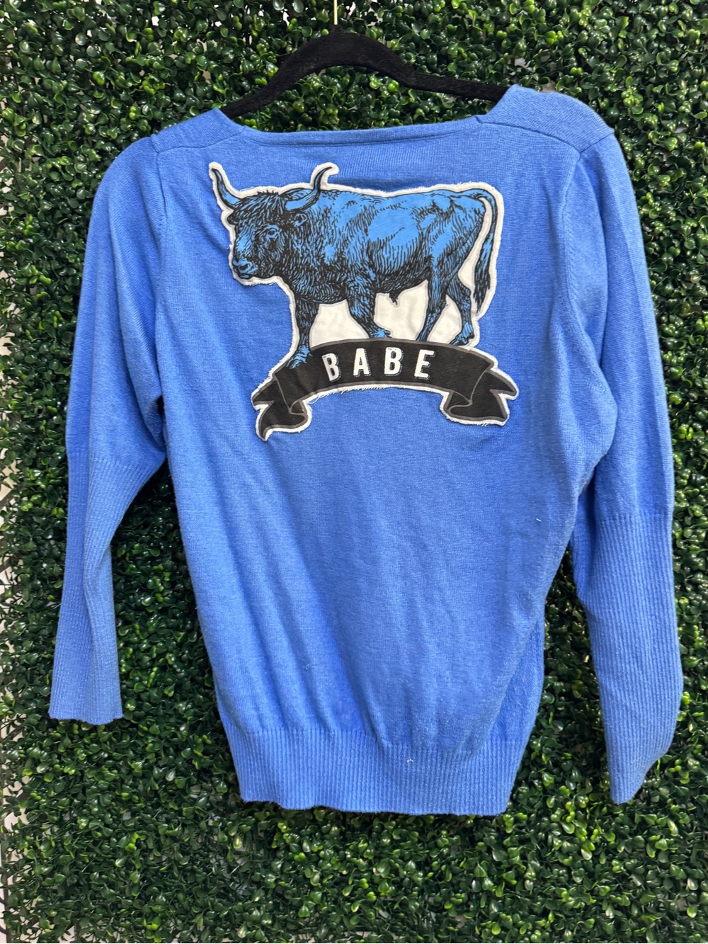 Blue 'Babe' Graphic Women's Sweater